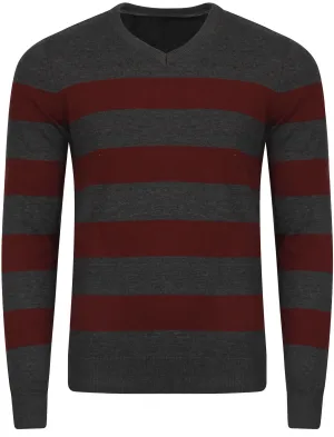 Le Shark  V-neck contrast stripe jumper in charcoal