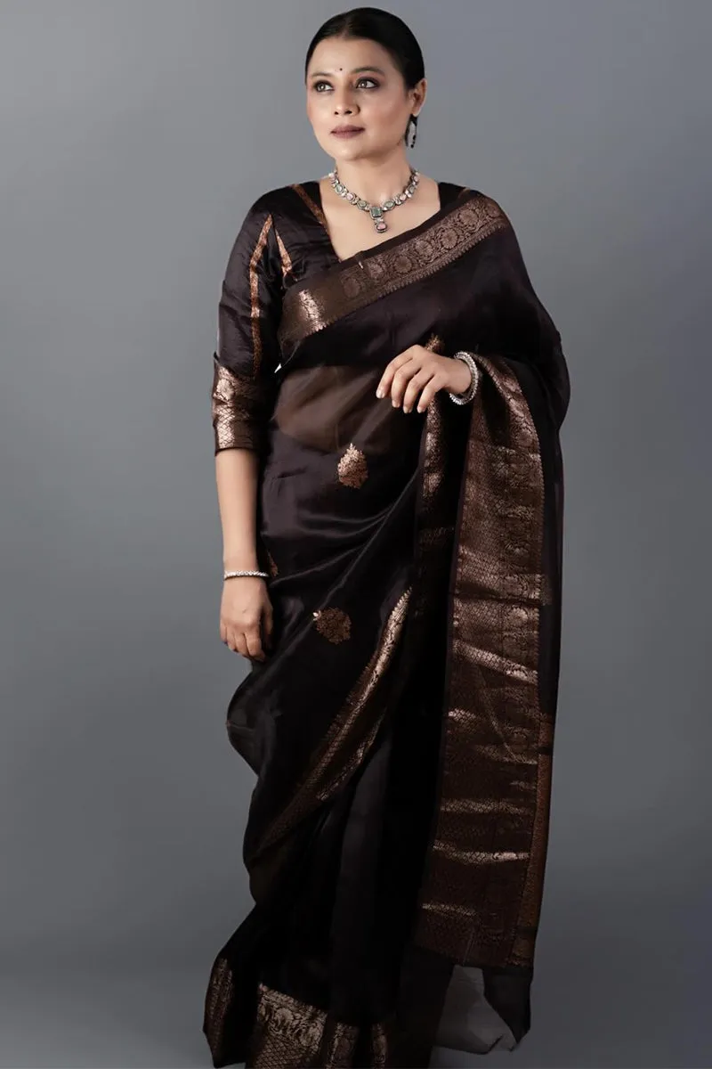 Ravishing Brown Soft Silk Saree With Designer Blouse Piece