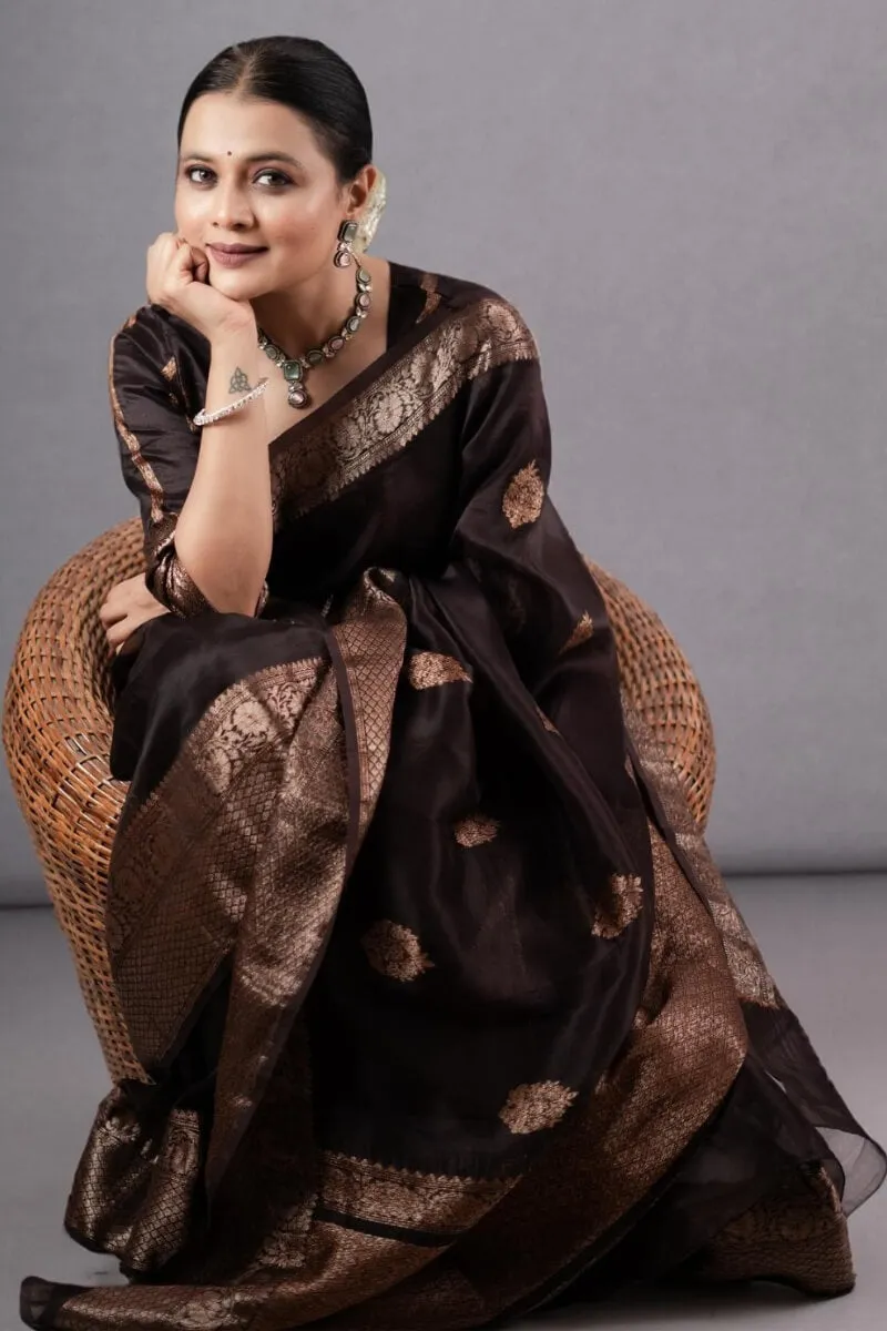 Ravishing Brown Soft Silk Saree With Designer Blouse Piece